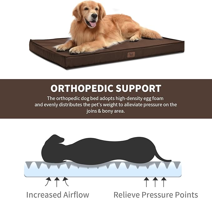 Outdoor All Weather Waterproof Dog Bed