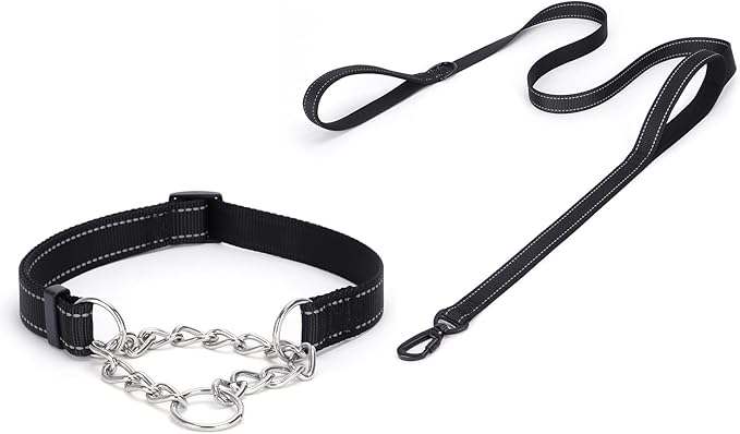 Martingale Dog Collar with Stainless Steel Chain and Leash Set 5FT Double