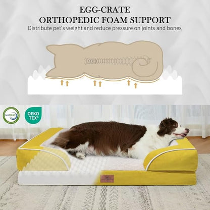 Orthopedic XL Dog Beds
