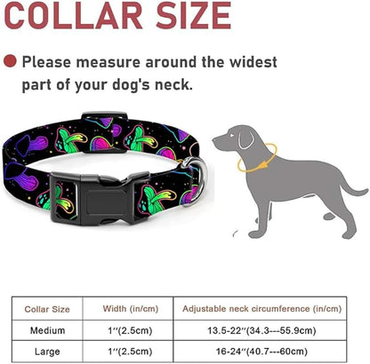Dog Collar