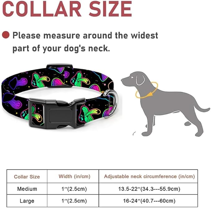 Dog Collar