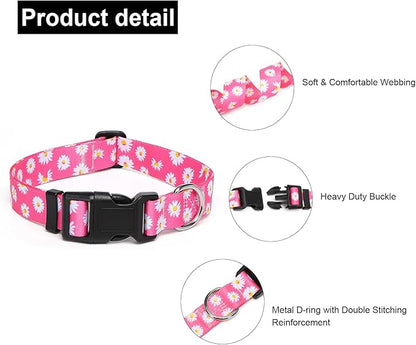Adjustable Dog Collar with Patterns