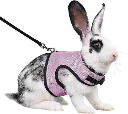 Ferret Harness and Leash Set,Mini Rabbit Vest Mesh Eescape Proof Walking Training for Guinea Pig Rat Hamster Squirrel Bunny Small Animal Pets Harness,Pink M