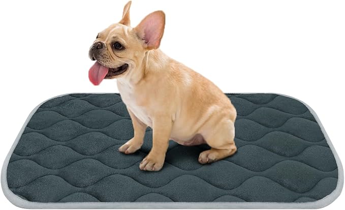 furrybaby Dog Bed Mat Flat Crate Mat with Anti-Slip Bottom Machine Washable Pet Kennel Pad for Dog Sleeping (M 30x19''