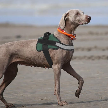 Bolux Dog Harness
