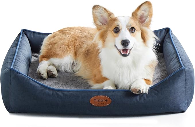 Orthopedic Dog Beds for Medium Large Dogs