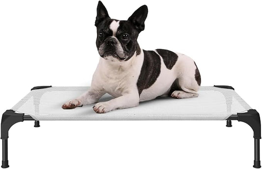 Cooling Elevated Dog Bed