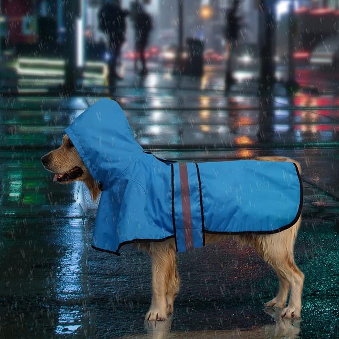 Candofly Sky Blue Waterproof Raincoat
