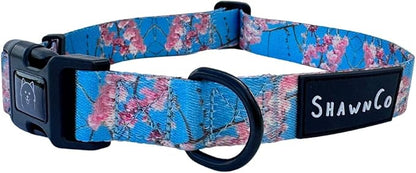 ShawnCo Dream Walk Dog Collar- Premium