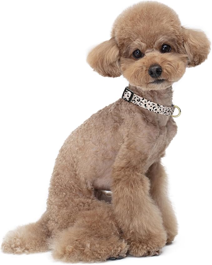 Reflective Dog Collar