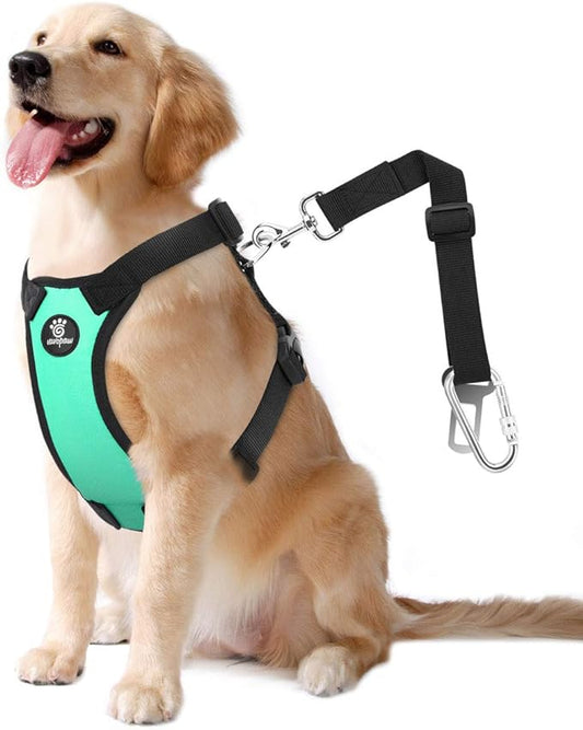 Dog Vehicle Safety Vest Harness, Adjustable Soft Padded Mesh Car Seat Belt Leash Harness with Travel Strap and Carabiner for Most Cars, Size Large, Lake Blue