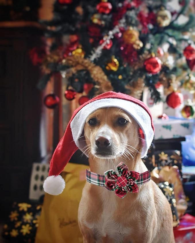Elegant little tail Flower Christmas Dog Collar for Female or Male Dogs
