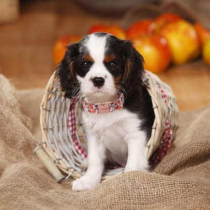 Unique style paws Dog Collar Metal Buckle Collar