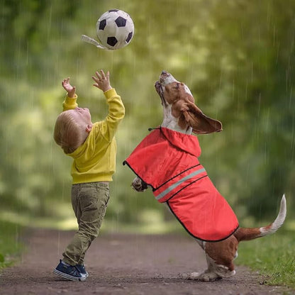 Waterproof Dog Raincoat