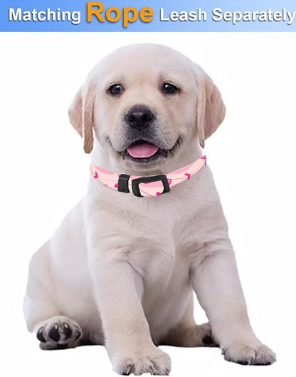 Dog Collar