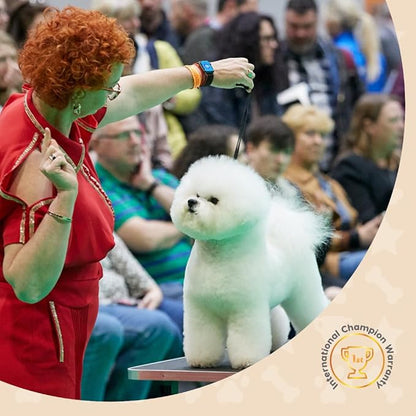 Misoko&Co Champion's Choice Reusable Dog Training Pads Super Absorbent Pet Pee Pads Dog Play Mat Fast Drying Anti Slip Washable Puppy Pads 2pcs