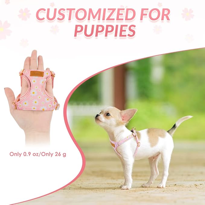 SlowTon No Pull Dog Harness with Leash - Soft Lightweight Floral Pattern Puppy Harness, Adjustable Pet Harness for Small Medium Dogs (Pink Daisy S)