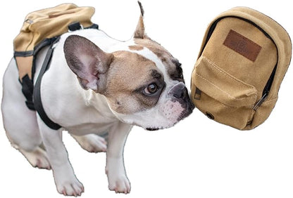 BoxDog Matching Dog Backpack and Pet Treat Pouch | Dog Park Treat Pouch | Dog Treat Pouch with Clip