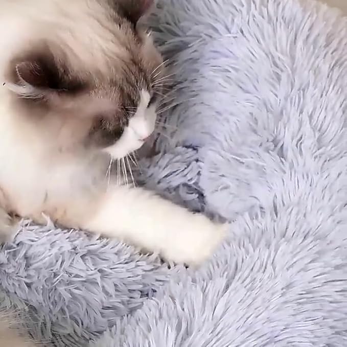 Dog Bed Cat Bed Dog Donut Bed Samll 3KG Pet