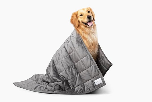 Gravity Premium Original Weighted Dog Blanket, Calming, Relaxation & Anxiety Relief for Pets, Comfortable & Cozy Blanket for Anxious Dogs, Washable, Grey, Medium, 40 x 32 in, 4 lbs