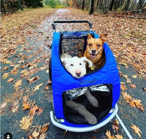 Booyah Extra Large Pet Bike Trailer Dog Stroller