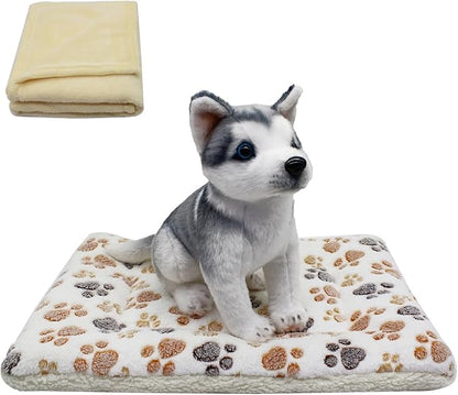 Cat Dog Bed Mat & Blanket