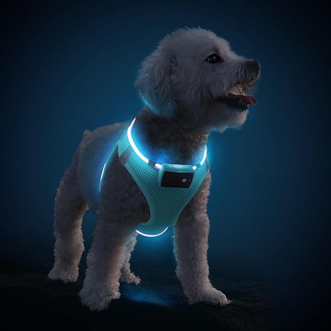 PcEoTllar Light Up Dog Harness, LED Dog Harness for Puppy Small Medium Dogs, Rechargeable No Pull Reflective Dog Harness, Flashing Lighted Dog Harness for Night Walking M