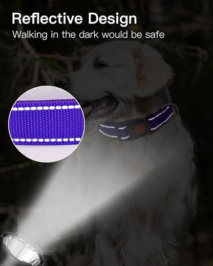 Reflective Dog Collar