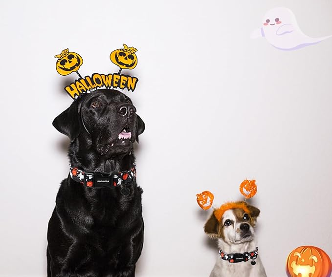 DOGWONG Cotton Dog Collar