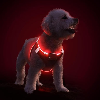 PcEoTllar Light Up Dog Harness, LED Dog Harness for Puppy Small Medium Dogs, Rechargeable No Pull Reflective Dog Harness, Flashing Lighted Dog Harness for Night Walking (Red,L)