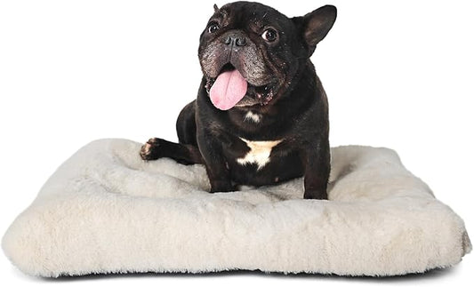 Small Washable Dog Bed Deluxe Plush Dog Crate Beds with Zipper fit Small Breed Pets 24 inch Wash,24 x 18 Cream