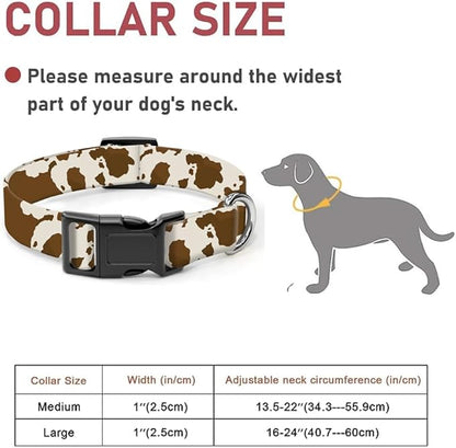 Dog Collar