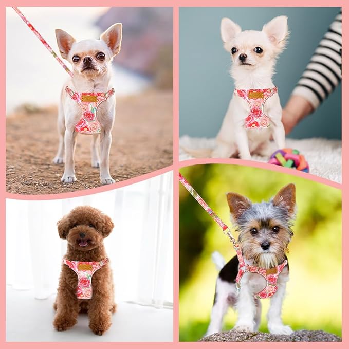 SlowTon No Pull Dog Harness with Leash - Soft Lightweight Floral Pattern Puppy Harness, Adjustable Pet Harness for Small Medium Dogs (Pink Rose XS)