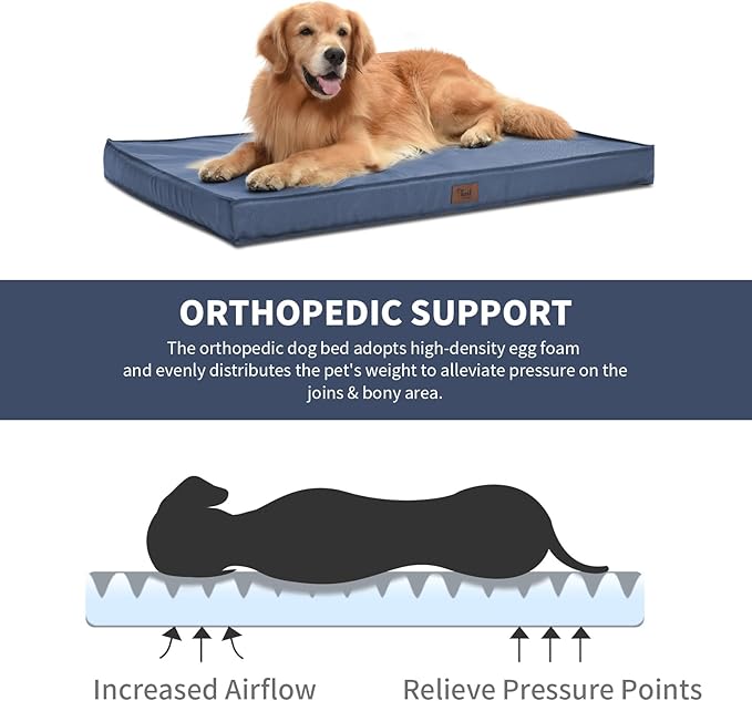 Outdoor Waterproof XL Dog Bed
