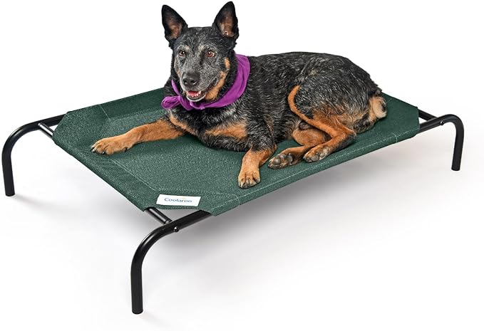 Coolaroo The Original Cooling Elevated Pet Bed