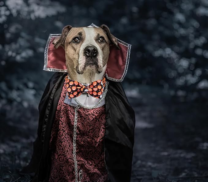 DOGWONG Fall Dog Collar with Bowtie