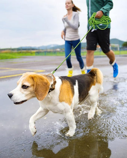 100FT Extra Long Dog Leash for Dog Training