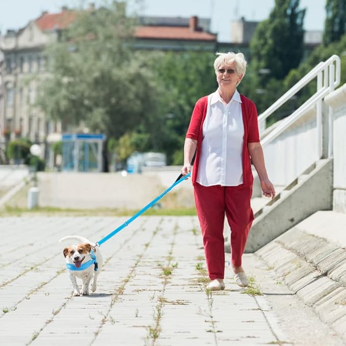 Lukovee Dog Harness and Leash Set, Soft Padded Small Dog Harness, Neck & Chest Adjustable Reflective Vest Puppy Harness with 4ft Lightweight Anti-Twist Dog Leash for Small Dogs (Light Blue, XX-Small)