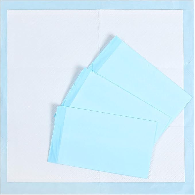 Unifree Disposable Underpad 100 Count, 24x24 Inch)