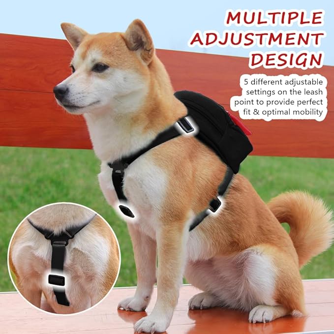 Dog Backpack for Small Dogs to Wear,Cute Pet Puppy Harness Backpacks with Leash Adjustable Dog Self Carrier Bag for Travel Hiking Daily Walking (M, Black)