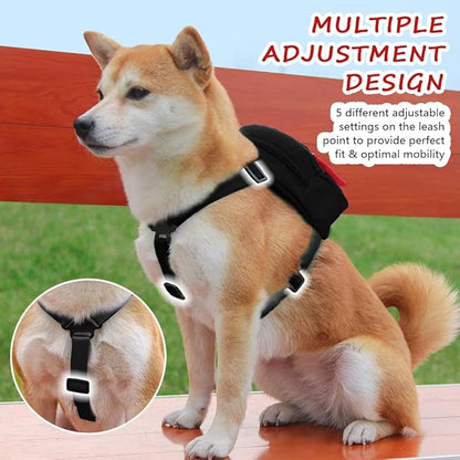 Dog Backpack for Small Dogs to Wear,Cute Pet Puppy Harness Backpacks with Leash Adjustable Dog Self Carrier Bag for Travel Hiking Daily Walking (M, Black)