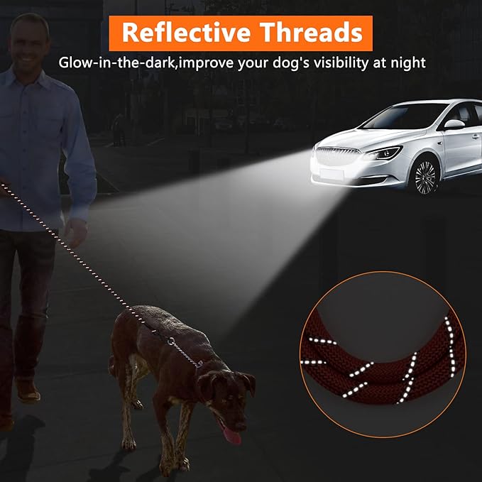 NTR 3FT Heavy Duty Dog Leash