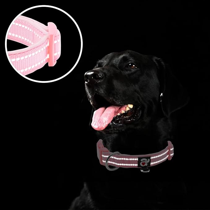 azuza Reflective Dog Collar