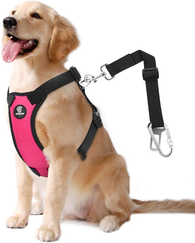 Dog Vehicle Safety Vest Harness, Adjustable Soft Padded Mesh Car Seat Belt Leash Harness with Travel Strap and Carabiner for Most Cars, Extra Large Size, Magenta