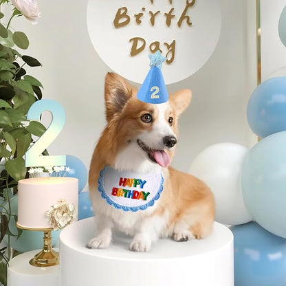 Dog Cat Birthday Party Supplies Outfit Bandana Bib
