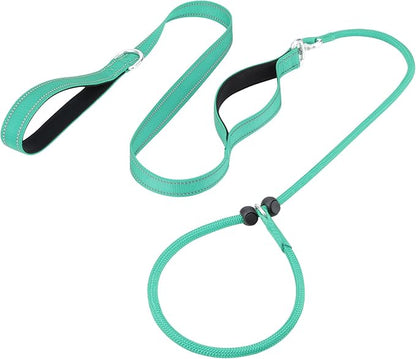Aiyuda Tangle-Free Slip Lead for Dogs with Padded Traffic Handle 6ft Dog 40 LBS,Turquoise