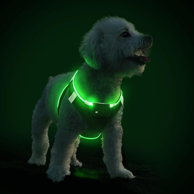 PcEoTllar Light Up Dog Harness, LED Dog Harness for Puppy Small Medium Dogs, Rechargeable No Pull Reflective Dog Harness, Flashing Lighted Dog Harness for Night Walking (Green,m)