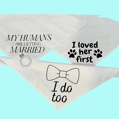 Blank Dog Bandanas Small -3PCS
