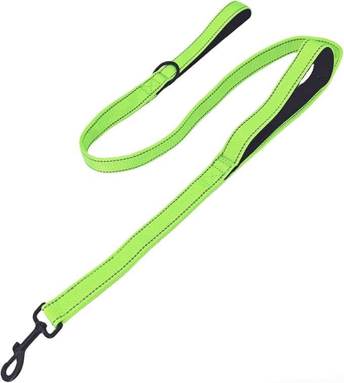 Solmoony 4FT Green Strong Dog Leash with 2 Padded Handles 4FT)