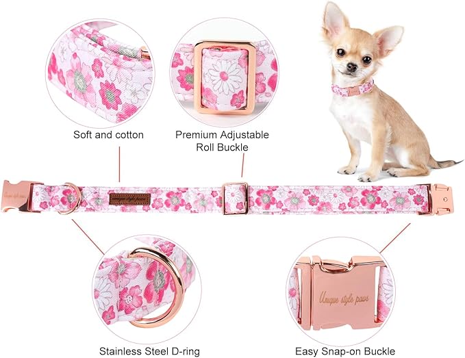 Unique Style Paws Summer Dog Collar
